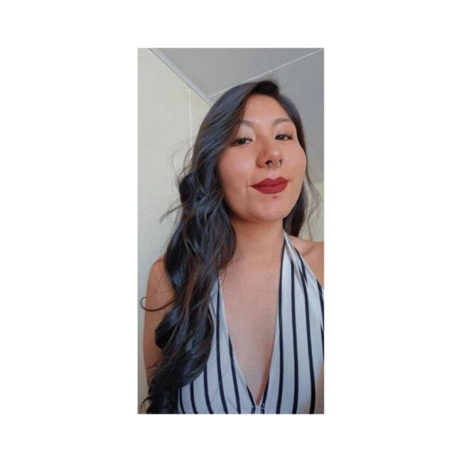 Babysitting job in Calama: Javiera