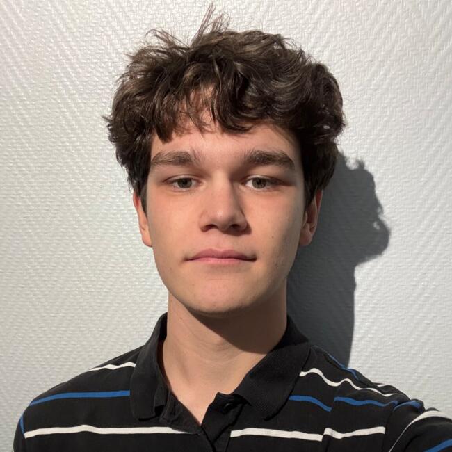 Babysitter in Bordeaux: Thomas