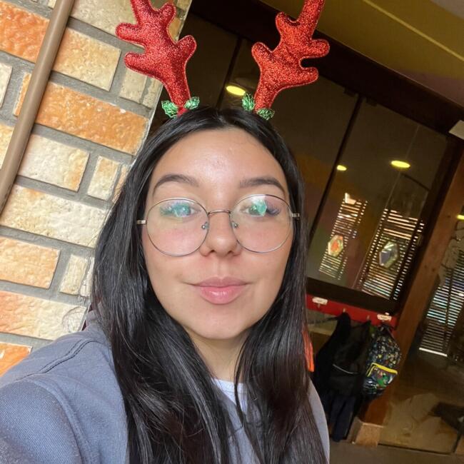 Babysitter in Florianópolis: Mirelly