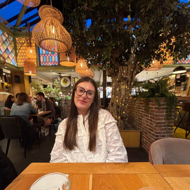 Babysitter in Nantes: Romane