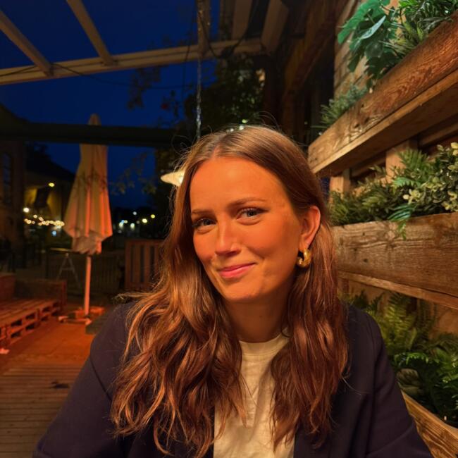 Babysitter in Jönköping: Alison