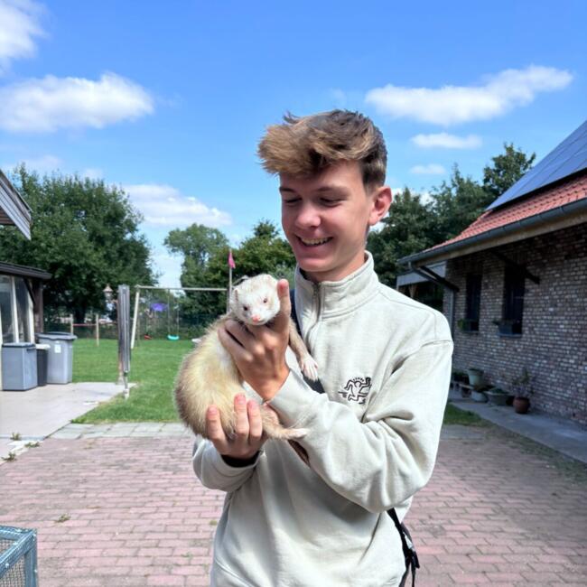 Babysitter in Sint-Niklaas: Thijs