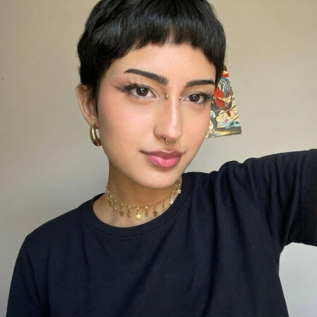 Babá em São Roque: Ally