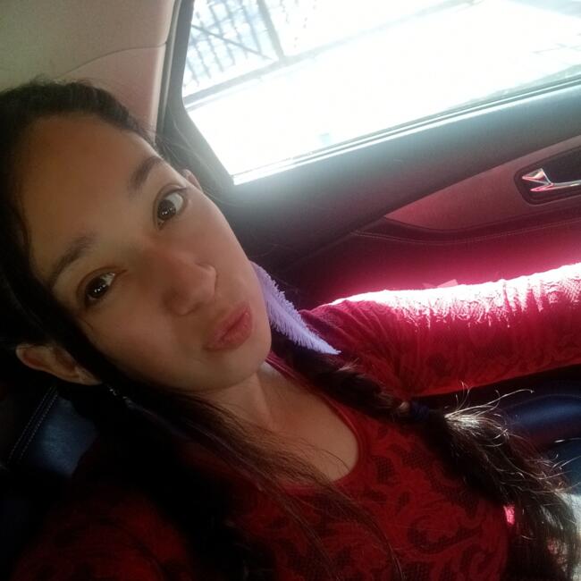 Babysitting job in Puente Alto: Ayleene Silva