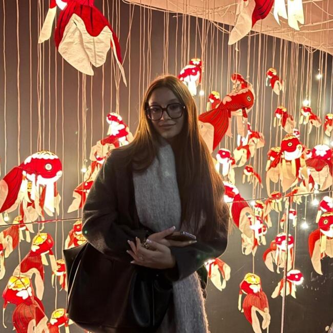 位于Malakoff的临时保姆: Iness