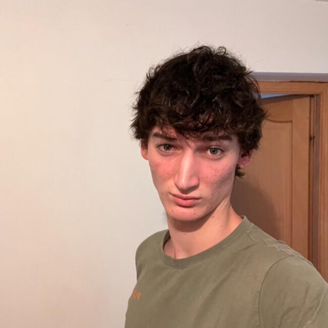 Babysitter in Hobscheid: Theodore