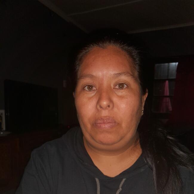 Babysitter in Calama: Elfi