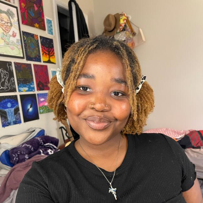 Babysitter in Barrie: Sangwani (Sangz)