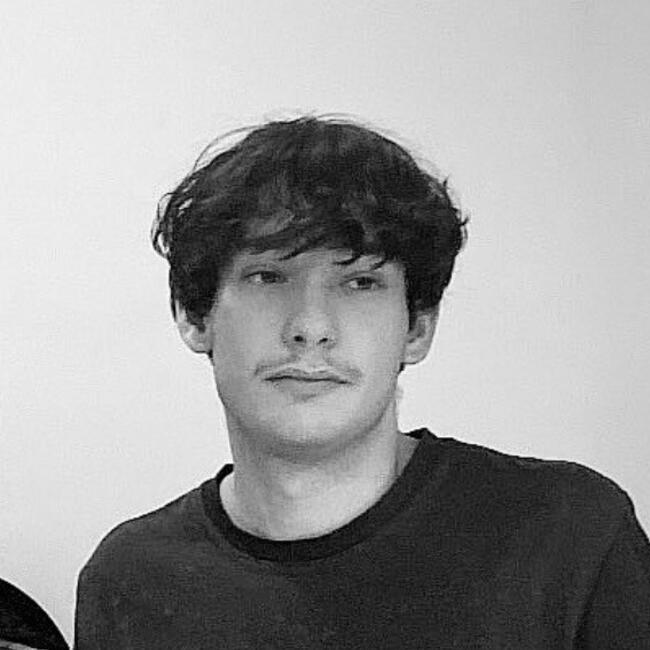 Babysitter in Toulouse: Vincent