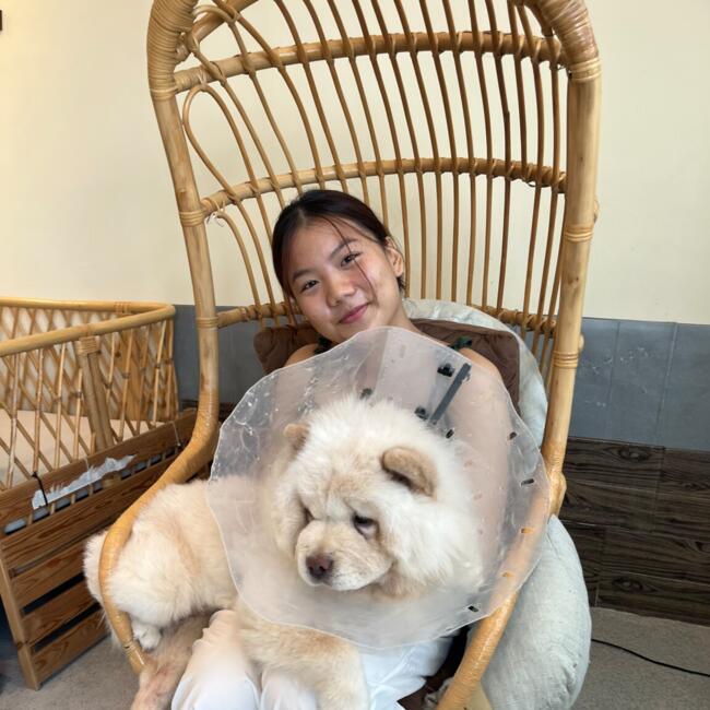 Babysitter in Singapore Island: Daihoong