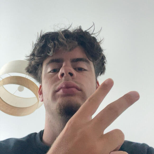 Babysitter in Bourron-Marlotte: Raphael