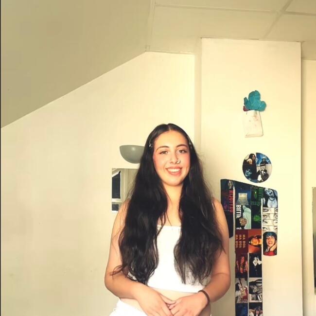 Babysitter in Lille: Shainesse