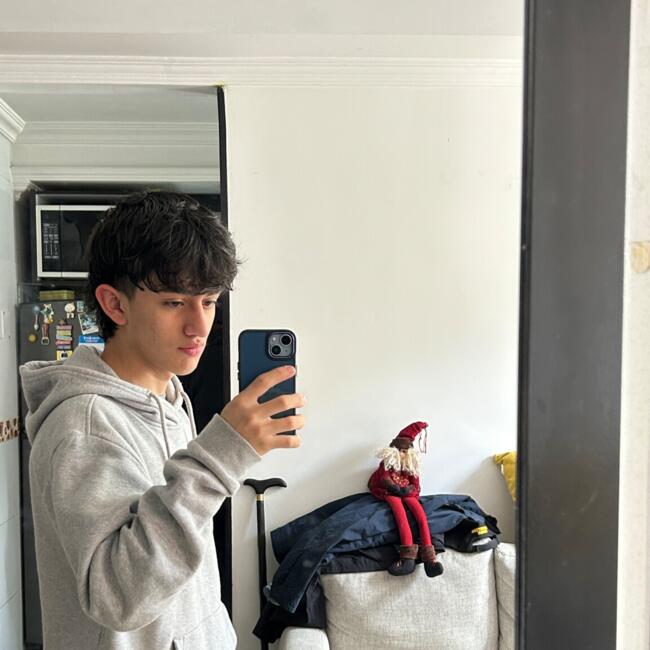 Babysitter in Bogotá: Daniel felipe