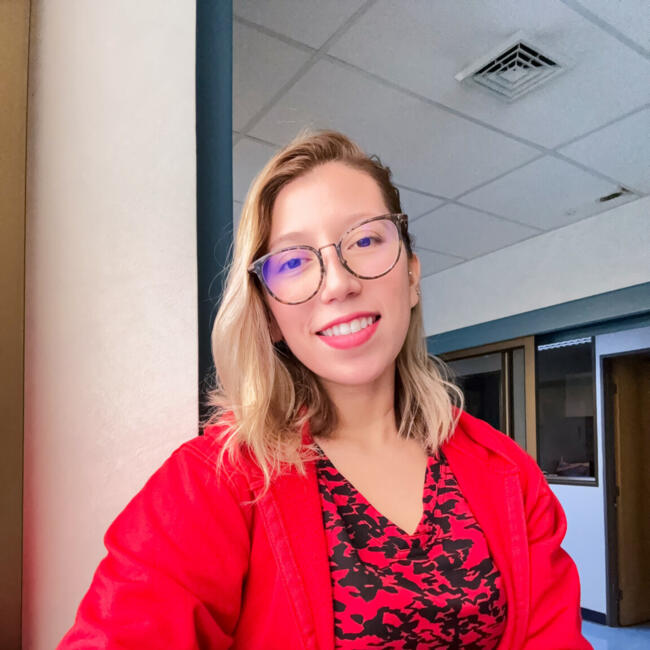 Babysitter in Punta Arenas: Nicksa