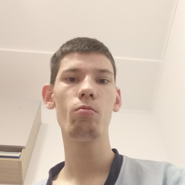 Babysitter in Timișoara: Murgoi