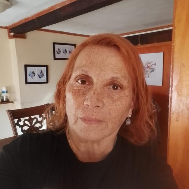 Niñera en Viña del Mar: Yolanda latuz León