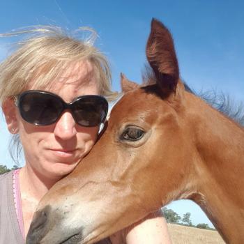 Babysitting job in Warrnambool: babysitting job Louise