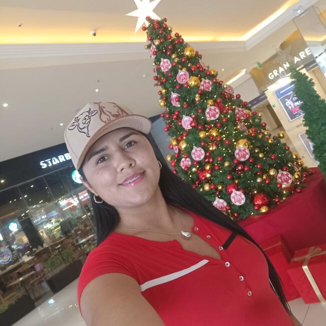 Babysitter in Santiago: Eilyn Rodriguez