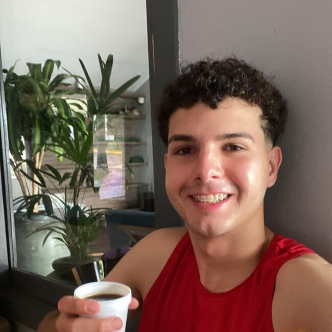 Babysitting job in Novo Hamburgo: Erick