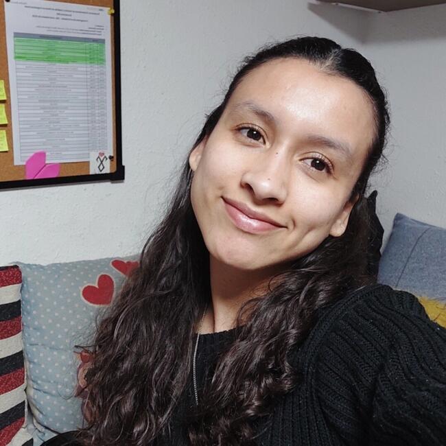 Babysitter in Avellaneda (Buenos Aires): Ileana
