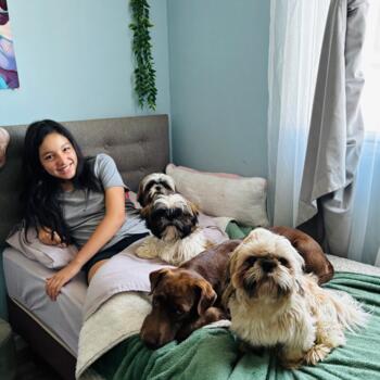 Babysitting job in Renaico: babysitting job Elizabeth