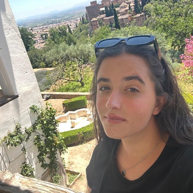 Canguro en Elche: Alba