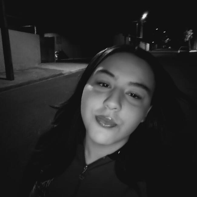 Babysitter in Presidente Prudente: Rayssa