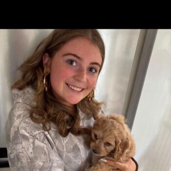 Babysitter in Ballyboden: Niamh