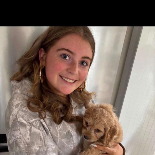 Babysitter in Ballyboden: Niamh