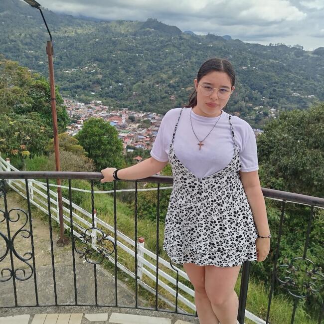 Babysitting job in Mosquera: Natalia