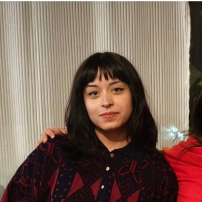 Babysitter in Puente Alto: Fernanda