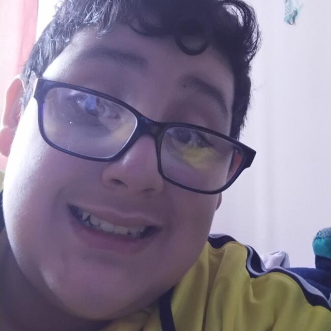 Babysitter in Port Montt: Carlos