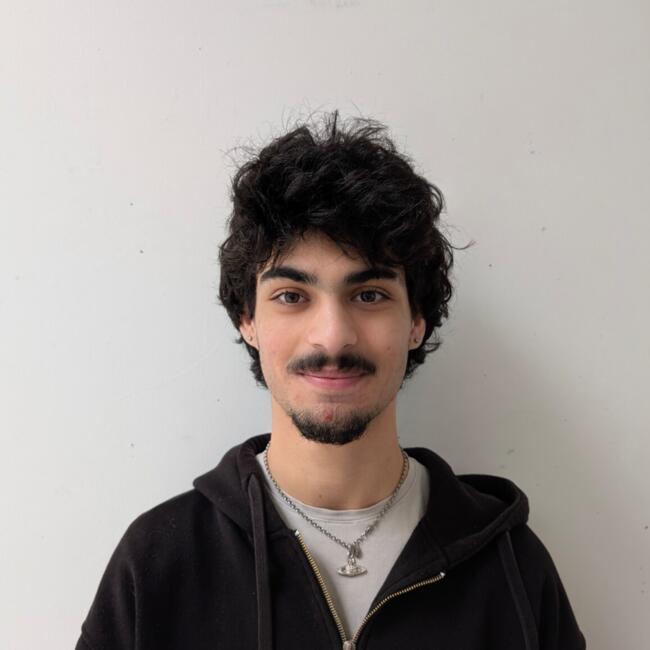 Babysitter in Villemomble: Felix