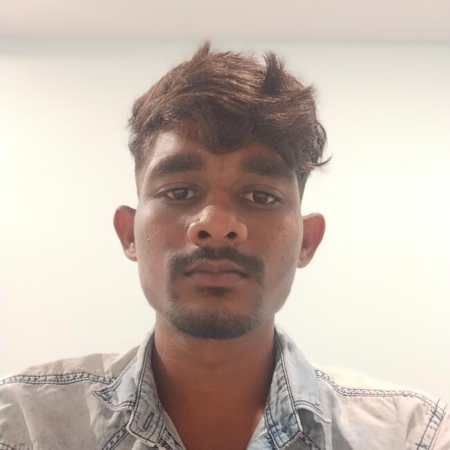 Babysitter στην περιοχή Hyderābād: Chaitanya