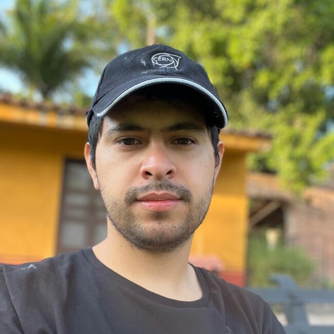 Babysitting job in Guadalajara: Tirso