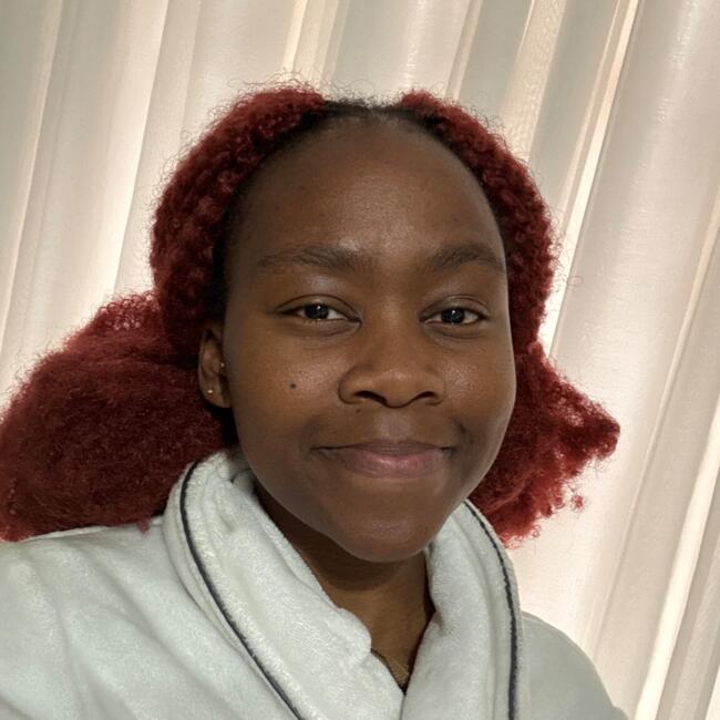 Babysitting job in Centurion: Tebogo