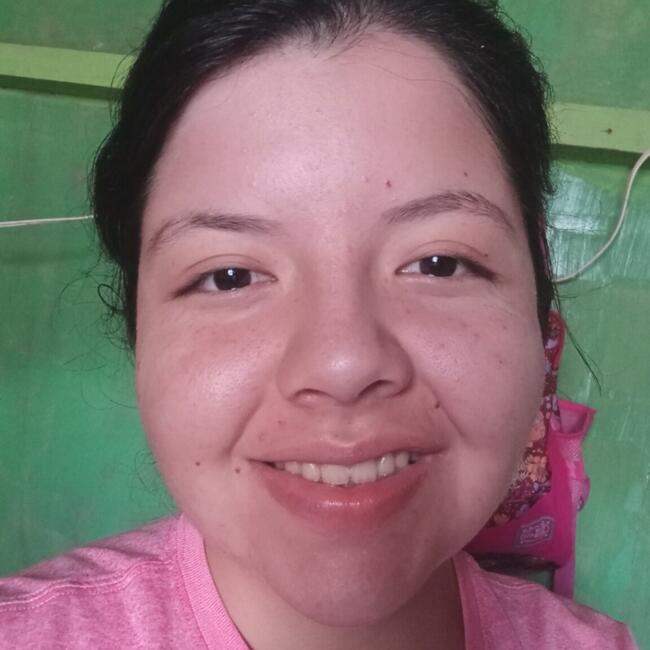 Babysitter in Ciudad del Este: Karen Delgado