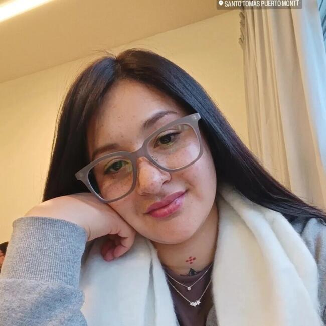 Babysitter in Port Montt: Elena