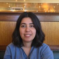 Reihaneh Shadpourian