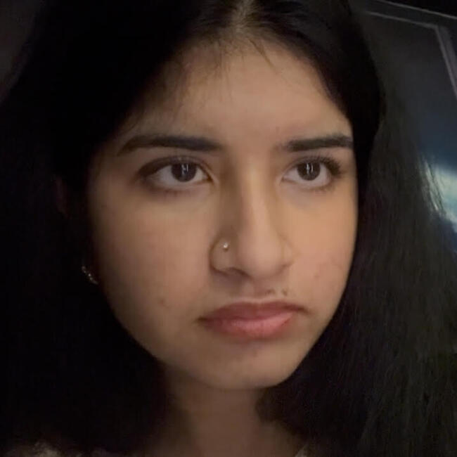 Baby-sitter in Kitchener: Zainab