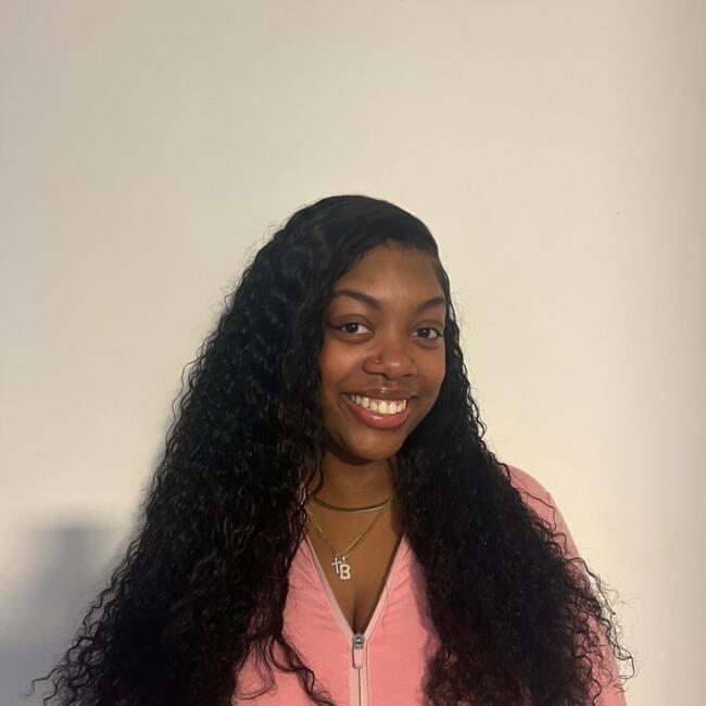 Babysitter in Brookline (Massachusetts): Briana