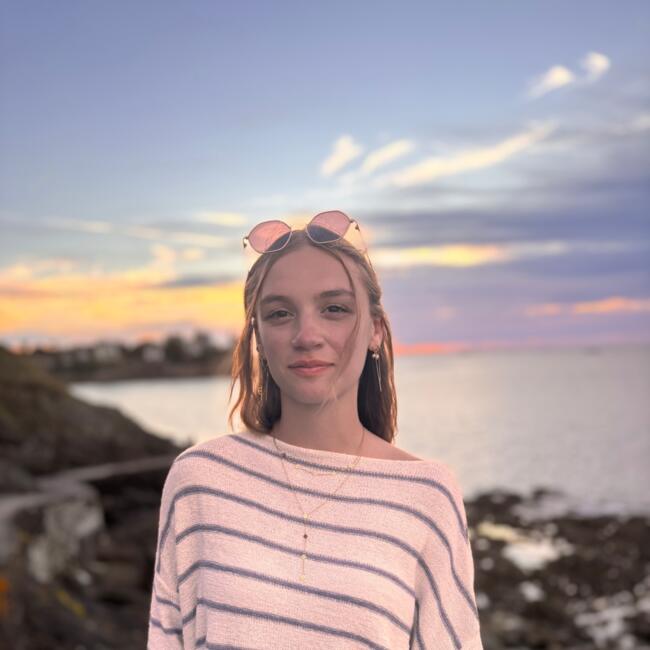 Babysitter in Saint-Jacques-de-la-Lande: Swann