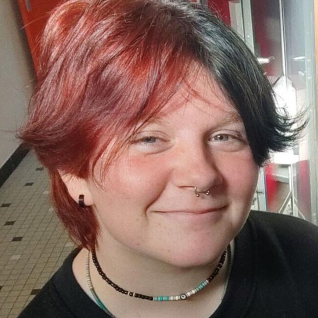 Babysitter in Troyes: Hayden