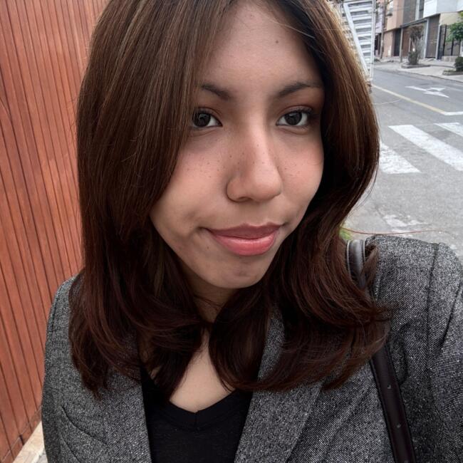 Babysitter in Arequipa: Ari