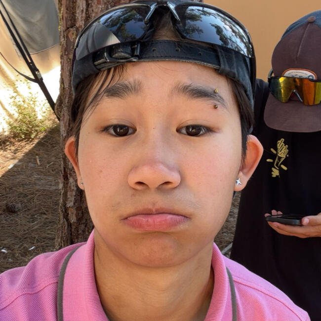 Babysitter in Verneuil-sur-Seine: Van