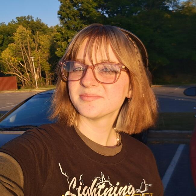 Babysitter in Hagerstown: Summer