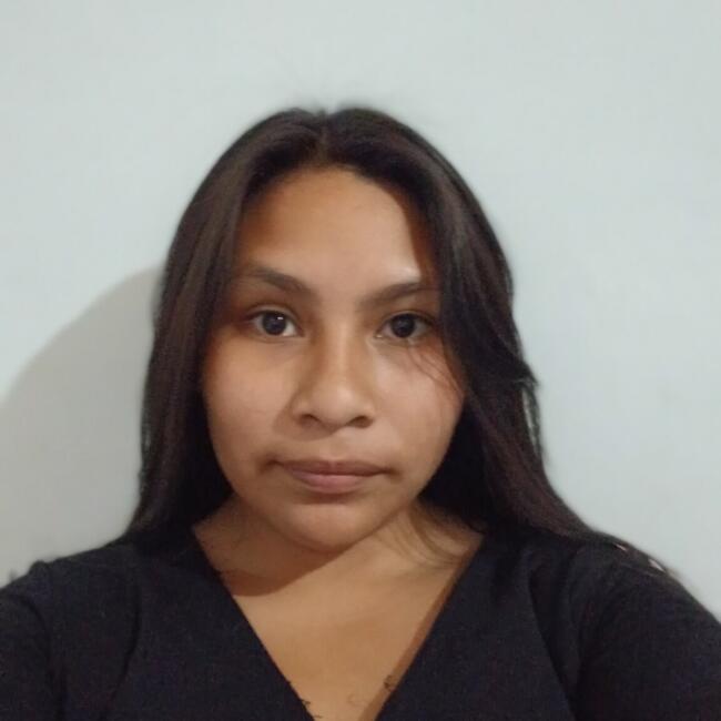 Niñera en San Salvador de Jujuy: Gabriela luciana