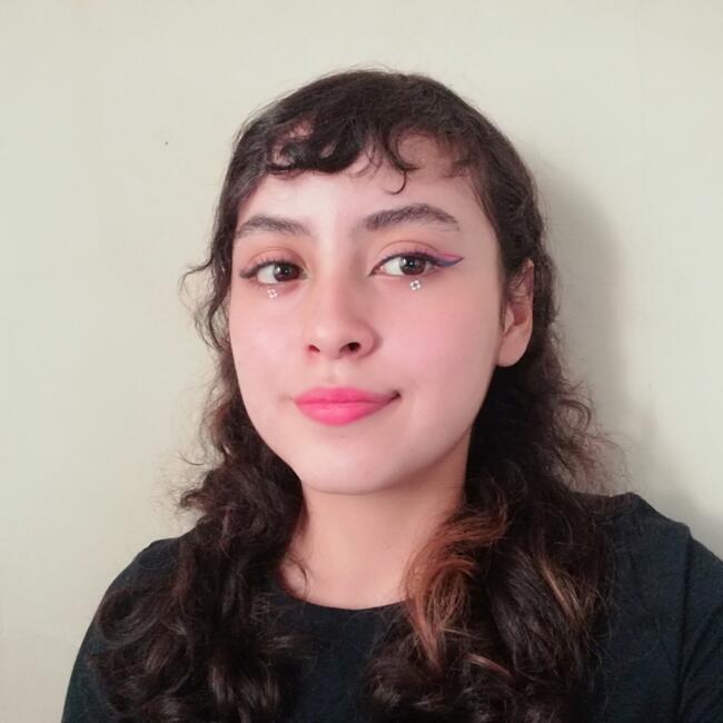 Babysitter in Medellín: Angie Camila