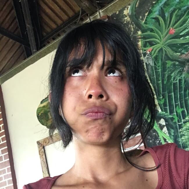 Barnevakt i La Ceiba: Francys  Pacheco