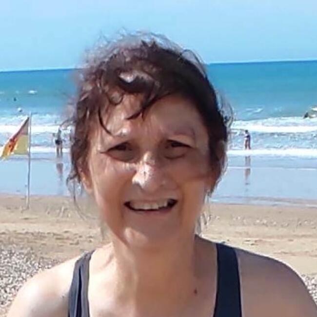 Babysitting job in Massy: Dana